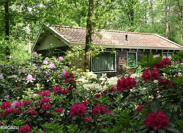Verblijf 3209154 - Vakantiewoning Veluwe - De Hazelaar, huis nr. 128
