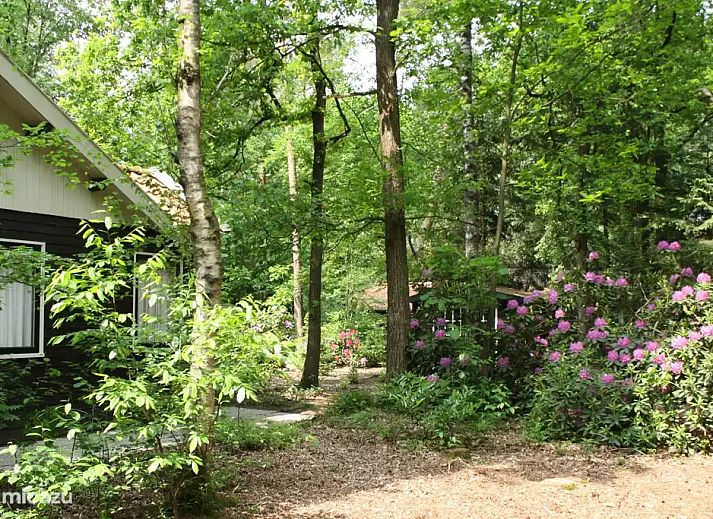 Verblijf 3209154 - Vakantiewoning Veluwe - De Hazelaar, huis nr. 128