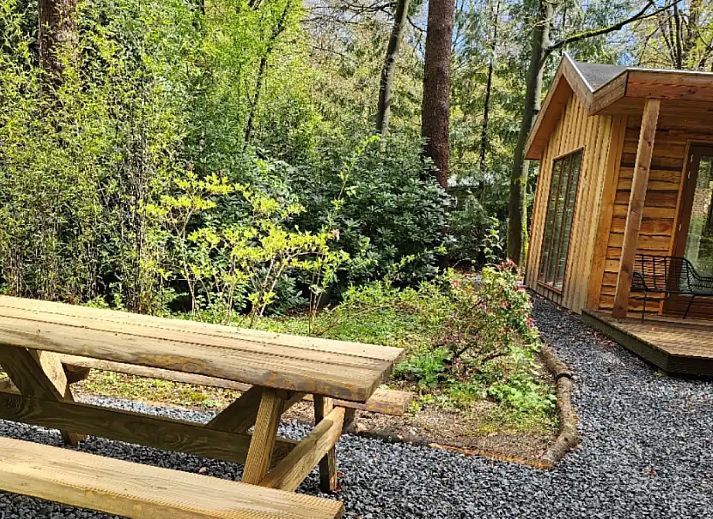 Verblijf 3209159 - Chalet Veluwe - Boshuisje Hans &amp; Klaartje