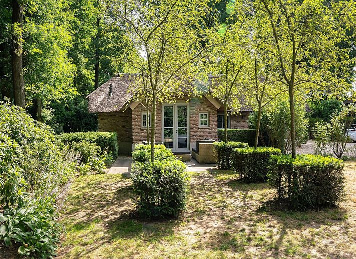 Guest house 3209161 - Holiday property Veluwe - Vlindervallei Villa 8p