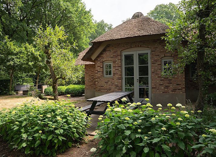 Guest house 3209161 - Holiday property Veluwe - Vlindervallei Villa 8p
