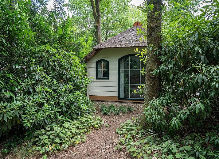 Guest house 3209162 - Holiday property Veluwe - Heivlinder 4p