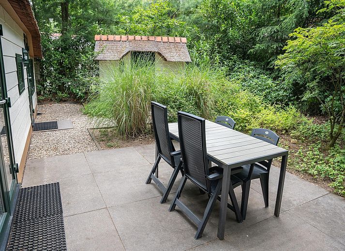 Guest house 3209162 - Holiday property Veluwe - Heivlinder 4p