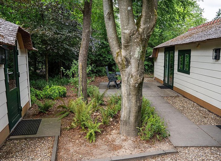 Guest house 3209162 - Holiday property Veluwe - Heivlinder 4p