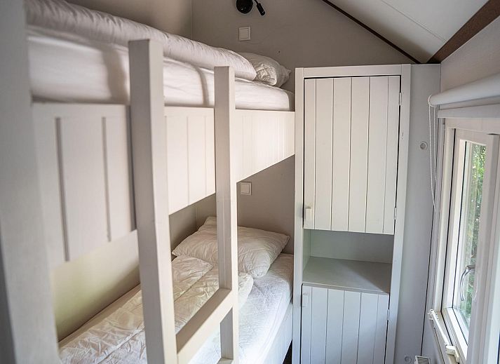 Guest house 3209162 - Holiday property Veluwe - Heivlinder 4p