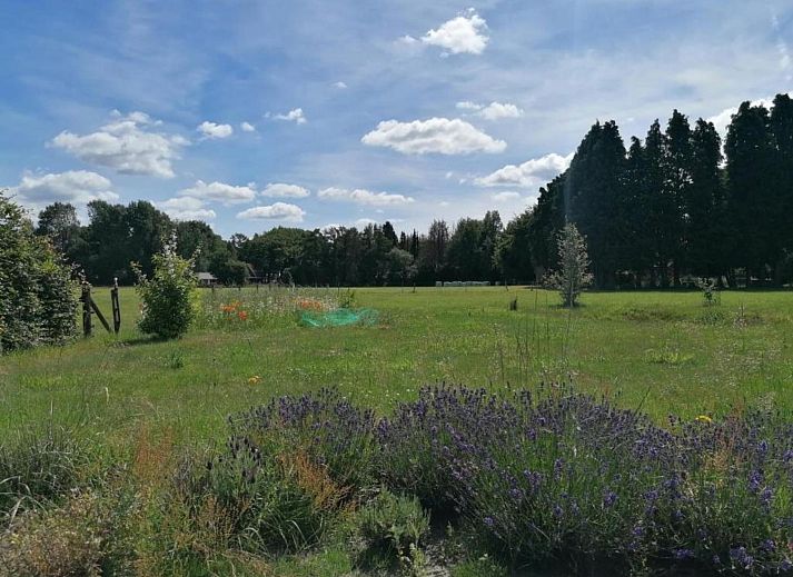 Guest house 3209162 - Holiday property Veluwe - Heivlinder 4p