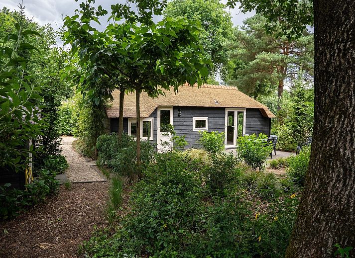 Verblijf 3209163 - Vakantiewoning Veluwe - Heivlinder 4+2p