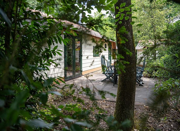 Verblijf 3209163 - Vakantiewoning Veluwe - Heivlinder 4+2p