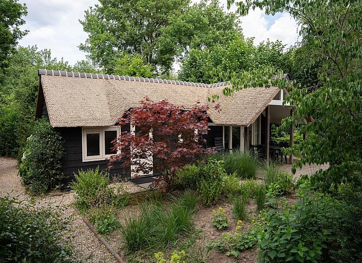 Verblijf 3209163 - Vakantiewoning Veluwe - Heivlinder 4+2p