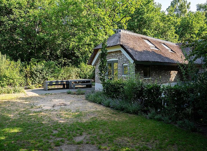 Verblijf 3209164 - Vakantiewoning Veluwe - Vlindervallei Boshuis 16p