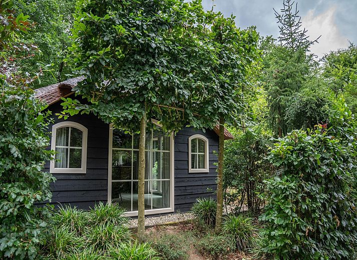 Verblijf 3209167 - Vakantiewoning Veluwe - Heivlinder Comfort 4+2p