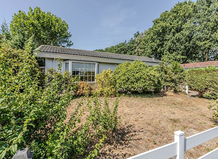 Guest house 3209171 - Holiday property Veluwe - Vrijstaande woning in Ermelo