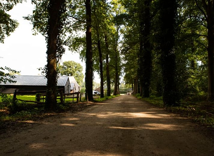 Sfeervolle avond bij Huisje in Ermelo, vakantiehuis op de Veluwe, Gelderland.