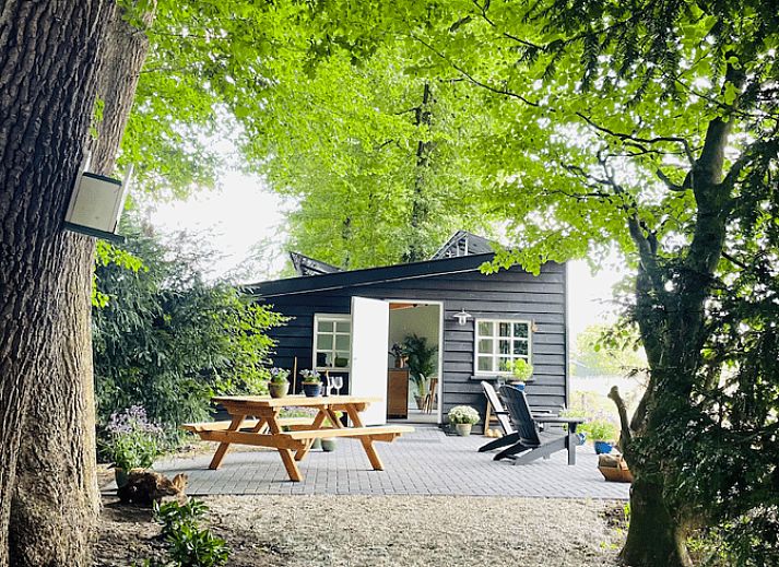 Ferienhaus in Ermelo mit Holzterrasse und gruener Umgebung, Veluwe, Gelderland.