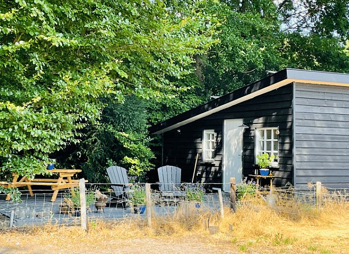 Moderne Kueche im Ferienhaus in Ermelo, Veluwe, Gelderland mit Holzdecke.