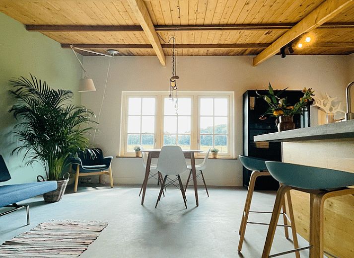 Blumen auf der Terrasse des Ferienhauses in Ermelo, Veluwe, Gelderland.