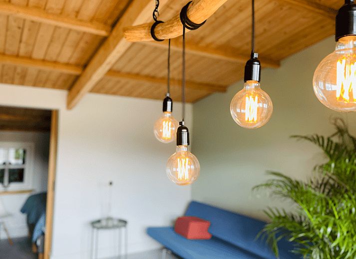 Blumen auf der Terrasse des Ferienhauses in Ermelo, Veluwe, Gelderland.