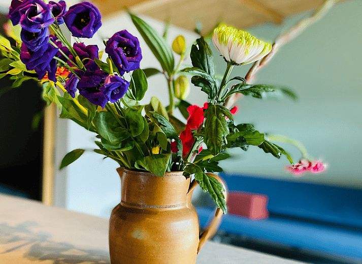 Eingang zum Ferienhaus in Ermelo mit gemuetlicher Einrichtung, Veluwe, Gelderland.