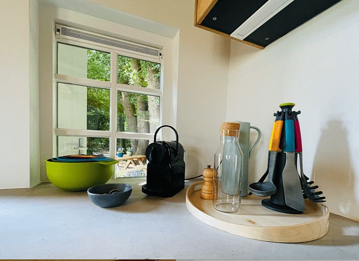 Wildschwein in den Waeldern um das Ferienhaus in Ermelo, Veluwe, Gelderland.