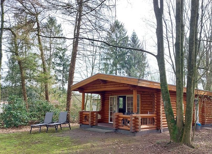Rustikales Holzhaus in Ermelo, Veluwe, mit Veranda und Liegestuehlen inmitten der Natur in Gelderland.