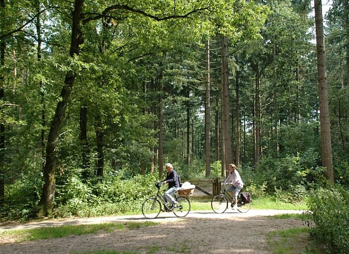 Gemuetlicher Innenbereich des Huisje in Ermelo, Ferienhaus an der Veluwe in Gelderland, mit Holzinterieur und komfortabler Sitzecke.