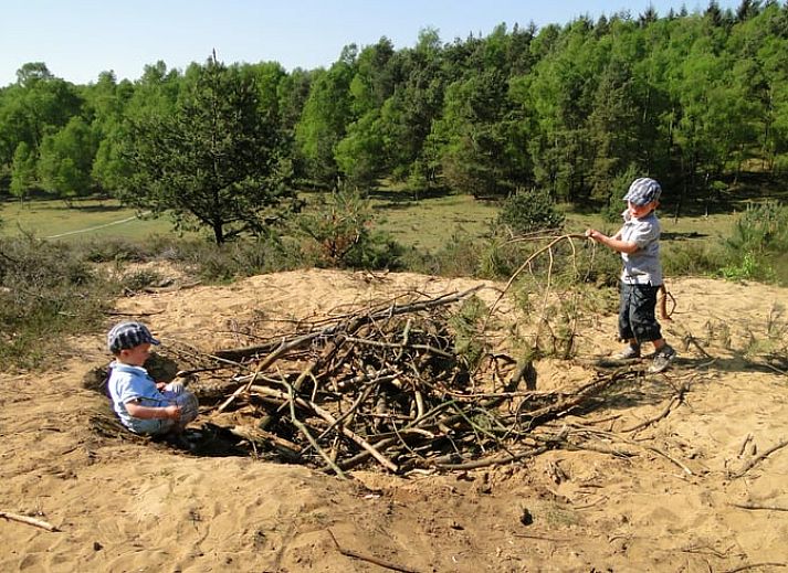 Gemuetliches Wohnzimmer im Cottage in Ermelo, Veluwe, Gelderland mit Holzinterieur und Blick auf die Terrasse.