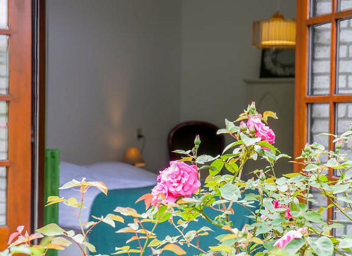 Gezellige woonkamer van Huisje in Ermelo, vakantiehuis op de Veluwe, Gelderland, met uitzicht op de groene natuur door grote ramen.