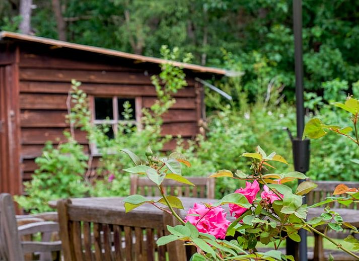 Moderne keuken in Huisje in Ermelo, Veluwe. Vakantiehuis met uitzicht op de natuur in Gelderland, ideaal voor een ontspannen verblijf.