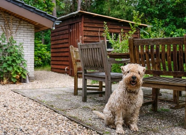 Moderne keuken in Huisje in Ermelo, Veluwe. Vakantiehuis met uitzicht op de natuur in Gelderland, ideaal voor een ontspannen verblijf.