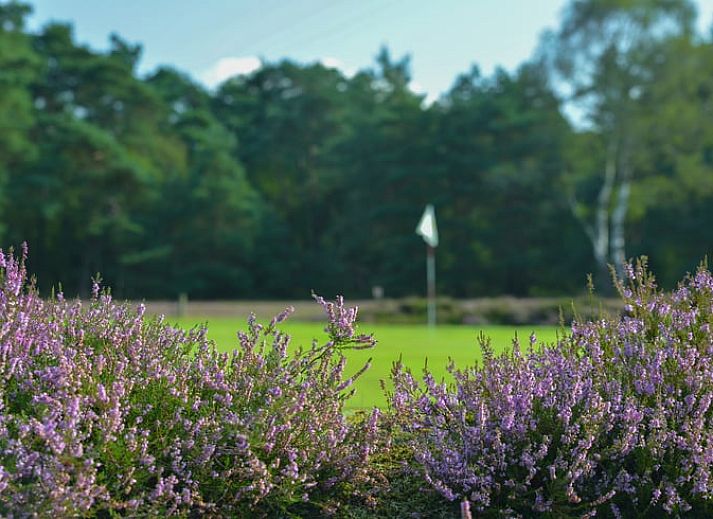 Moderne keuken in Huisje in Ermelo, Veluwe. Vakantiehuis met uitzicht op de natuur in Gelderland, ideaal voor een ontspannen verblijf.