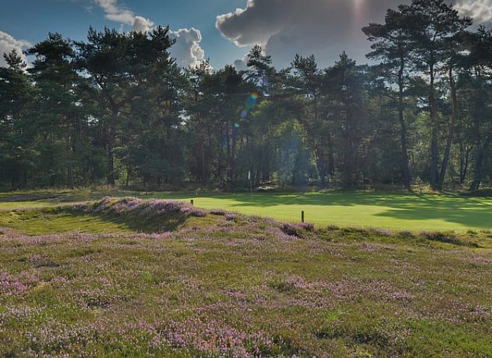 Moderne keuken in Huisje in Ermelo, Veluwe. Vakantiehuis met uitzicht op de natuur in Gelderland, ideaal voor een ontspannen verblijf.