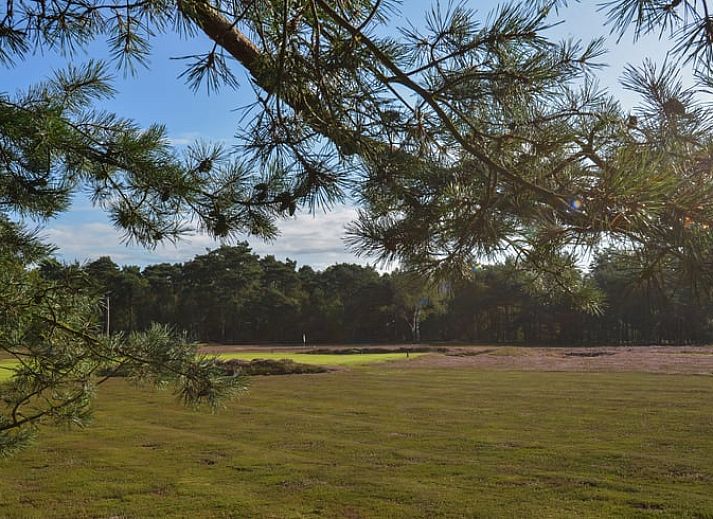 Verblijf 320994 - Vakantiewoning Veluwe - Huisje in Ermelo