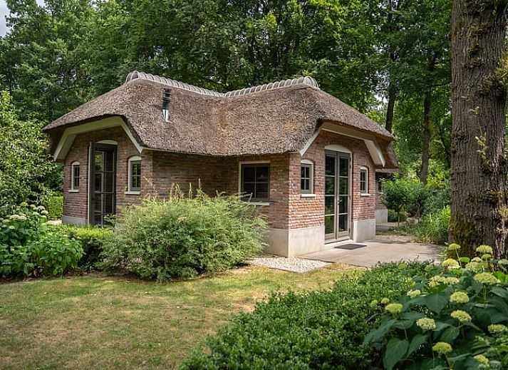 Cottage in Ermelo, charming cottage surrounded by green nature in the Veluwe, Gelderland.
