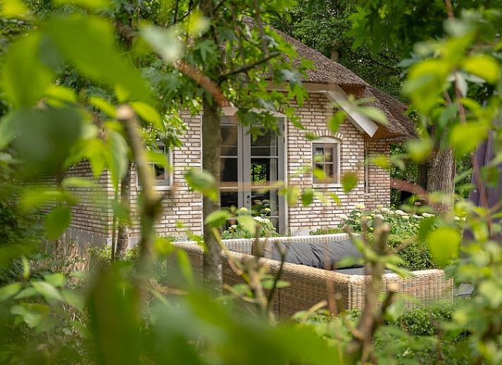 Cottage in Ermelo, charming cottage surrounded by green nature in the Veluwe, Gelderland.