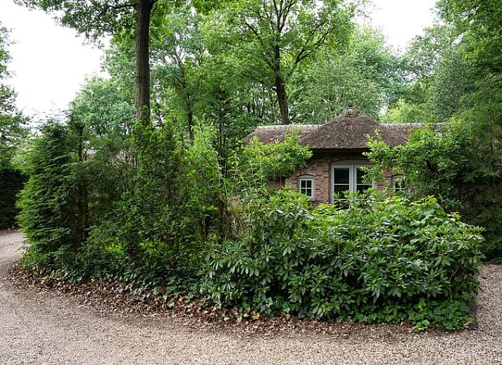 Dining area overlooking nature in Cottage in Ermelo, vacation home in Veluwe, Gelderland.