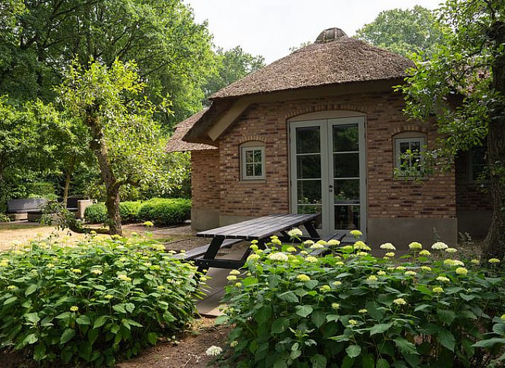 Guest house 320995 - Holiday property Veluwe - Huisje in Ermelo