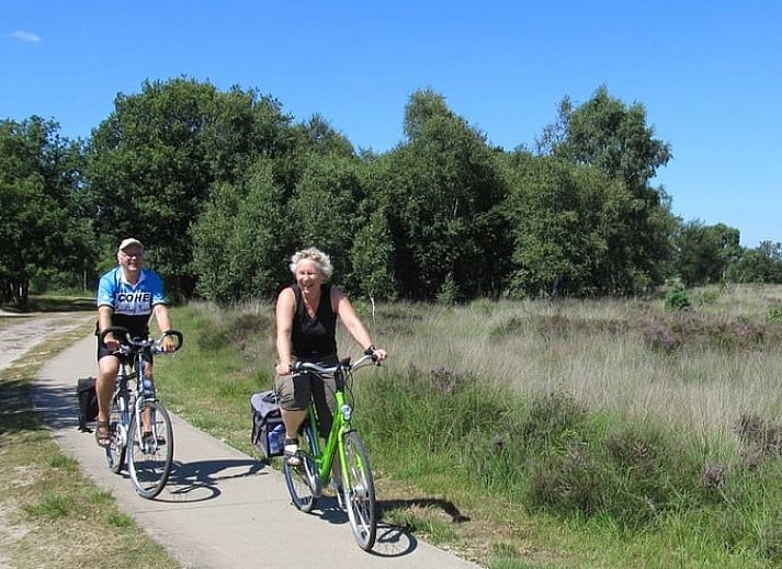 Verblijf 320996 - Vakantiewoning Veluwe - Vakantiehuis in Ermelo