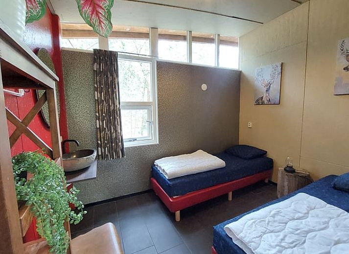 Unterkunft 320997 - Ferienhaus Veluwe - Huisje in Ermelo