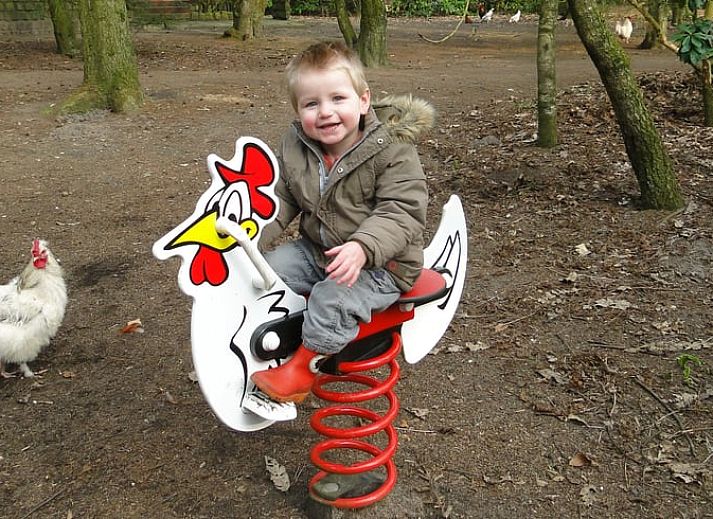 Unterkunft 320997 - Ferienhaus Veluwe - Huisje in Ermelo