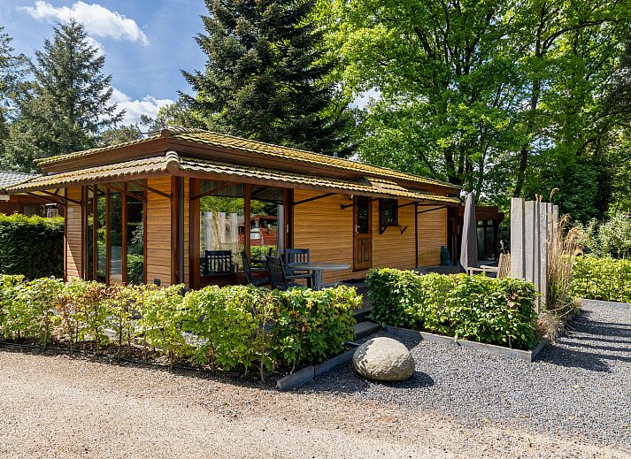 Tiny Lodge Ferienhaus in Harderwijk, Veluwe, Gelderland mit moderner Holzfassade und grossem Garten.