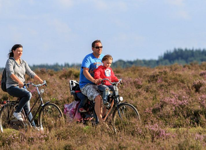 Gemuetlicher Essbereich im Ferienhaus Tiny Lodge in Harderwijk, Veluwe, Gelderland mit Wein und Snacks.