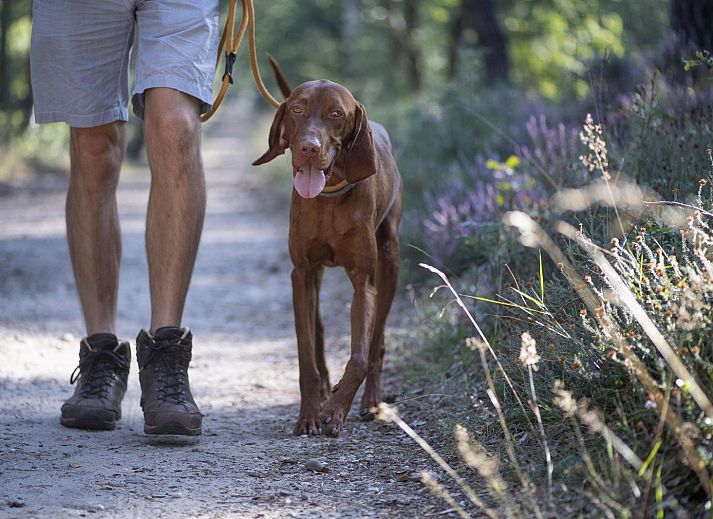 Modern bathroom in Heath Lodge vacation home, Harderwijk.