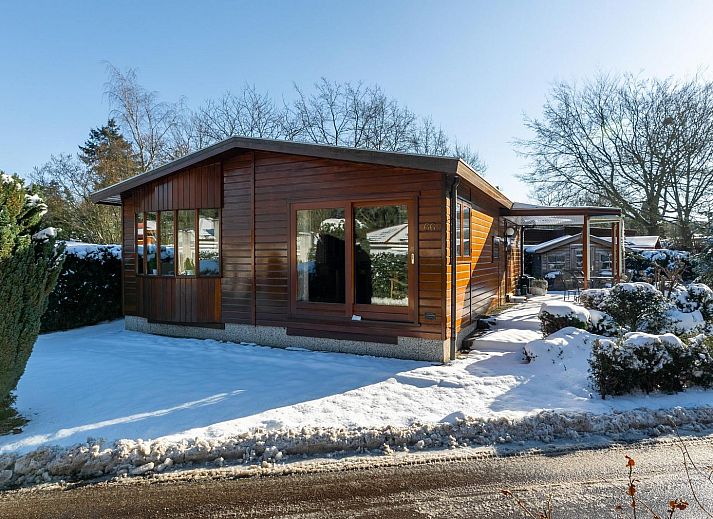 Veluwe Lodge in Harderwijk, Gelderland with spacious veranda and green surroundings