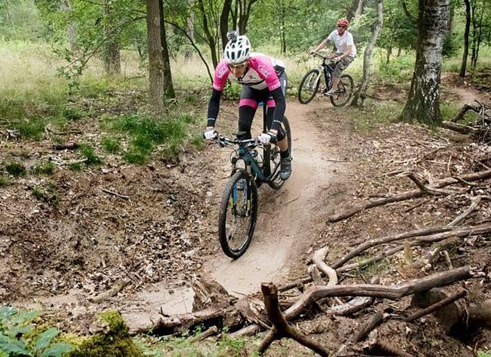 Dining room in Veluwe Lodge vacation home, Harderwijk overlooking terrace
