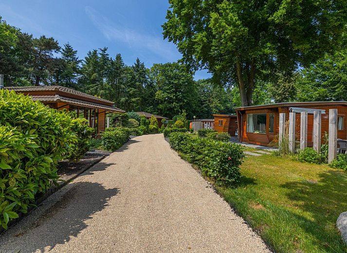 Front of Cozy Lodge vacation home in Harderwijk, Veluwe, Gelderland with large tree.