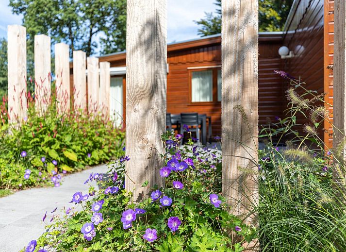 Guest house 321042 - Holiday property Veluwe - Cozy wooden Chalet