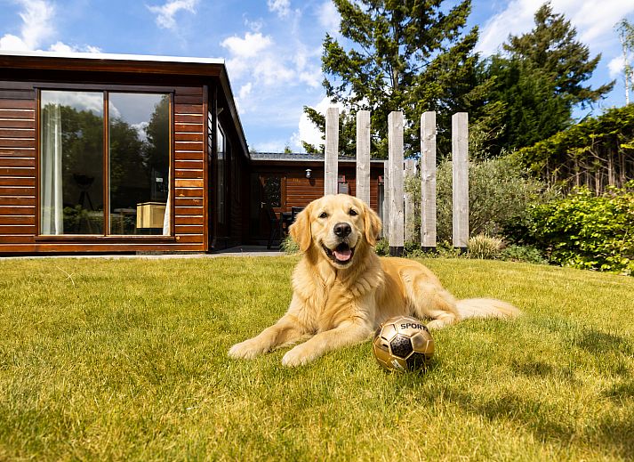 Verblijf 321046 - Vakantiewoning Veluwe - Private Lodge