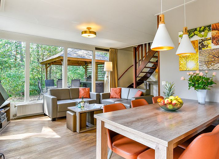 Gezellige woonkamer in Miggelenberg bungalow 6CE1, Hoenderloo, met uitzicht op de Veluwse natuur.