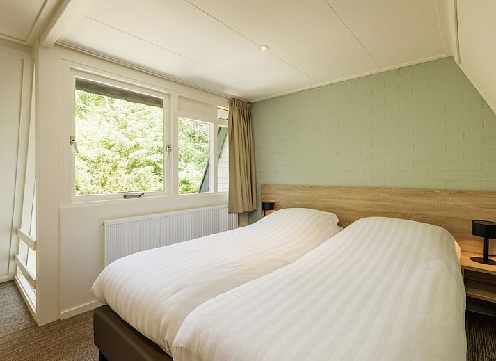 Gemuetliches Wohnzimmer der Veluwe Villa 4B in Hoenderloo mit modernem Kamin und Blick auf die Veluwe Natur.