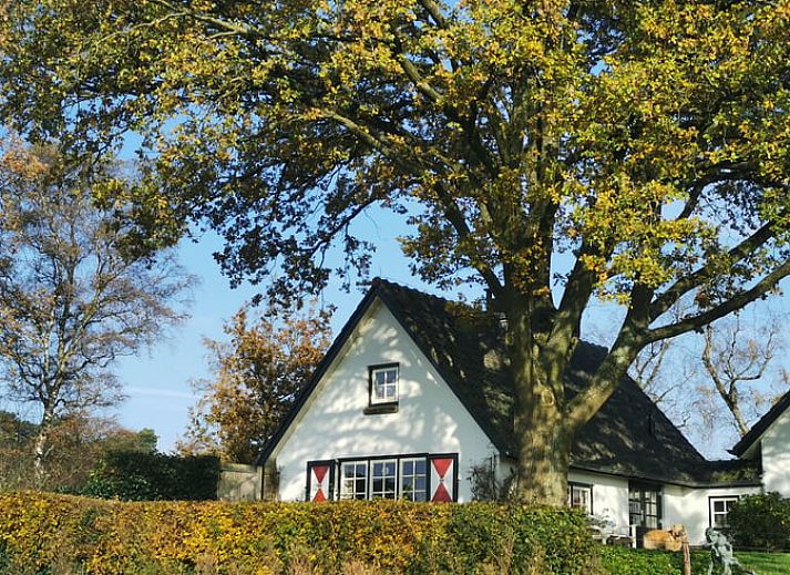 Verblijf 321108 • Vakantiewoning Veluwe • Vrijstaande woning in Gelderland, Nederland 